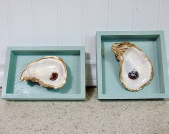 Oyster Shadow Boxes, Coastal Decor, Set of Two