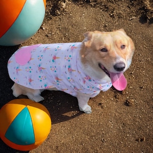 犬の夏のファッション