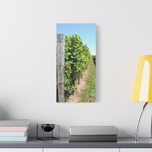 Vineyard 4 Canvas Wall Art, Real Photography, Long Island Stretched Satin Print, Home Decor, Gift for Wine Lovers, Wall Hanging, Living Room