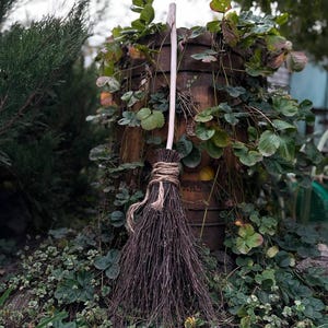 May include: A rustic broom with a long, light-colored wooden handle and dark brown bristles. The bristles are bound with twine. The broom is set against a backdrop of greenery and a weathered wooden structure.