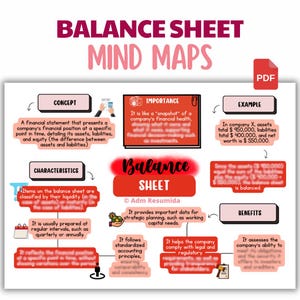 Balance Sheet Study Guide for Business Students | Visual Study Notes PDF