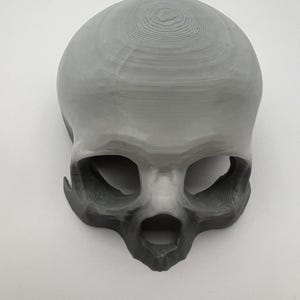 May include: A gray skull mask with a textured surface. The mask has large eye sockets and a prominent nose cavity. The color transitions from light gray at the top to a darker gray at the bottom. The mask is likely 3D printed.