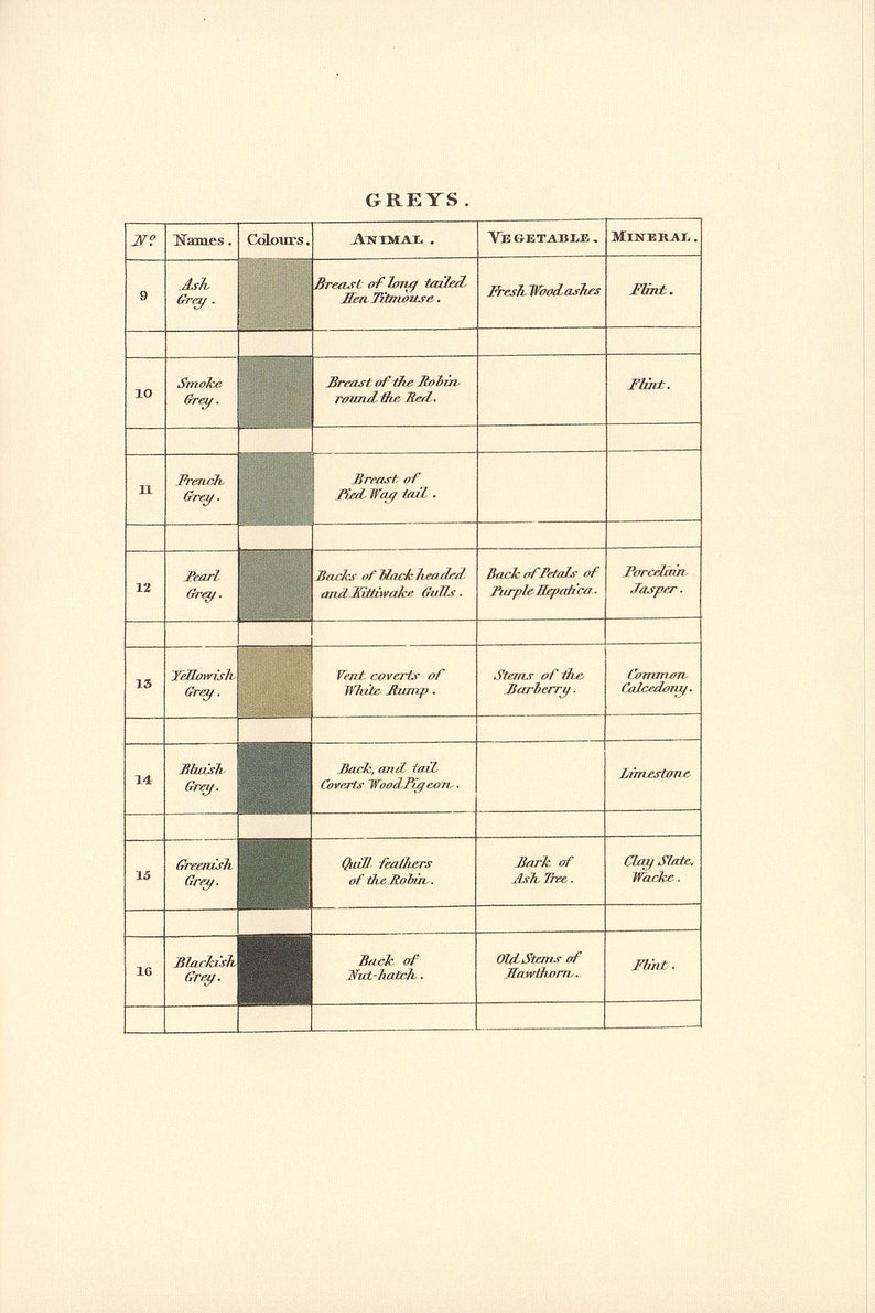 Vintage Paint Swatches/set of 8 - Etsy