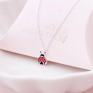 Può includere: Una collana d'argento con un ciondolo a coccinella. La coccinella è rossa con pois neri e una testa nera. La collana è presentata su una scatola rosa all'interno di un piatto bianco.