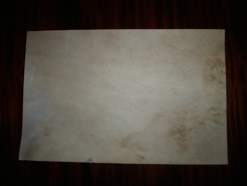 Real Medievally Made Parchment/vellum/pergamenum Made From Etsy UK