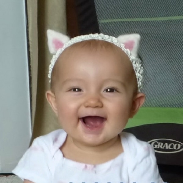 Costume for Cat Etsy