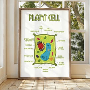 Könnte beinhalten: Ein gerahmtes Lehrplakat mit der Aufschrift PLANT CELL, das ein detailliertes, farbenfrohes Diagramm einer Pflanzenzelle zeigt. Die Abbildung enthält beschriftete Organellen wie Zellkern, Mitochondrien, Chloroplasten, Vakuole und Zellwand.