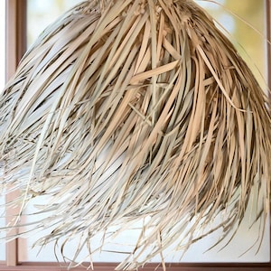 Puede incluir: Una l&aacute;mpara colgante natural y tejida. La pantalla est&aacute; hecha de hojas de palma secas de color marr&oacute;n claro, creando un efecto texturizado y en capas. La l&aacute;mpara est&aacute; suspendida de una parte superior tejida, proyectando un brillo c&aacute;lido y acogedor.