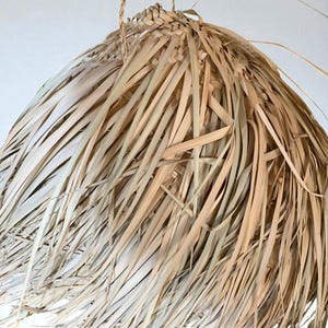 Puede incluir: Una l&aacute;mpara colgante tejida natural. La pantalla est&aacute; hecha de hojas de palma secas, creando un efecto texturizado y en capas. La l&aacute;mpara se suspende con una cuerda tejida.