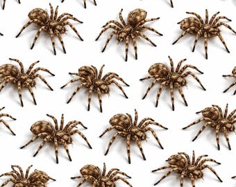 Carta da regalo ragno 3D / Carta da regalo gotica / Design elegante e scuro con ragno / Carta da regalo unica e inquietante / Carta da regalo con arte horror