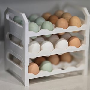 Könnte beinhalten: Ein weißer, dreistöckiger Eierhalter mit einer Vielzahl von Eiern. Die Eier sind in Weiß-, Hellgrün- und Brauntönen gehalten. Der Halter hat an jeder Seite einen Griff.