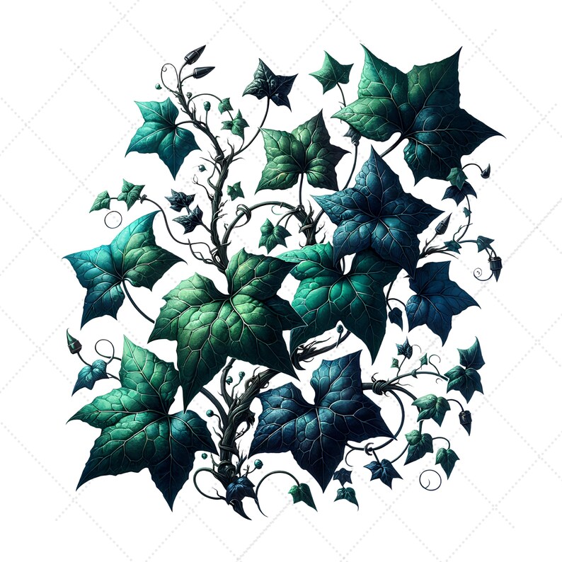 May include: An illustration of a cluster of stylized ivy leaves in shades of teal and dark blue. The leaves have detailed veining and are arranged around dark, twisting stems. The background is white with a subtle, diagonal grid pattern.