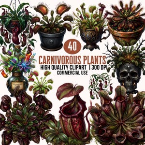 Op de afbeelding: Een digitale illustratie met verschillende vleesetende planten, waaronder Venusvliegenvallen en bekerplanten, in potten en arrangementen. De afbeelding bevat de tekst "40 CARNIVOROUS PLANTS HIGH QUALITY CLIPART | 300 DPI COMMERCIAL USE". Het kleurenpalet omvat groen, rood en bruin.