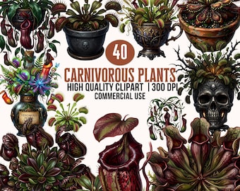 Paquete de imágenes prediseñadas de plantas carnívoras en acuarela: Venus atrapamoscas góticas, plantas jarra (descarga digital)