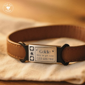 Silent Dog Tag siliconen tag Gepersonaliseerde huisdier-ID-tag Aangepaste hondentags voor honden en katten