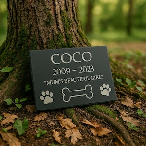 May include: A black slate pet memorial plaque with the name "COCO", dates 2009-2023, and the inscription "MUM'S BEAUTIFUL GIRL!". Features paw prints and a bone graphic. The plaque is set in a natural outdoor setting.