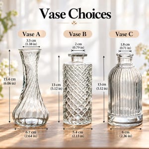 以下が含まれることがあります： Vase A、Vase B、Vase Cとラベル付けされた3つの透明なガラス製花瓶。Vase Aは高さ15.4cm、幅6.7cm。Vase Bは高さ13cm、幅5.4cm。Vase Cは高さ13cm、幅6cmで、縦方向の溝があるデザインです。