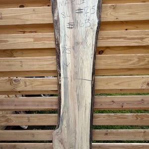 Kiln Dried Live Edge Spalted (Soft) Maple Slab.