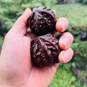 Conjunto de 2 Bolas de Massagem para as Mãos em Madeira de Nogueira – 42 mm de Diâmetro – Rolo de Acupressão Artesanal – Ferramenta para Terapia de Relaxamento