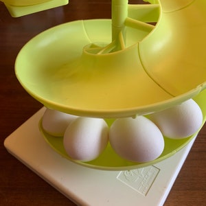 Spiraling Egg Skelter for 24 eggs by Southern Homewares