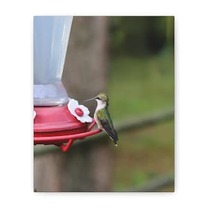 Hummingbird Canvas Art Print, Home Decor, Nature Wall Art, Living Room Decor, Gift for Bird Lovers