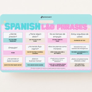 May include: A light blue and pink card with the text "SPANISH L&D PHRASES" and phrases in Spanish and English. The card has a light blue border and a small hole at the top for hanging.