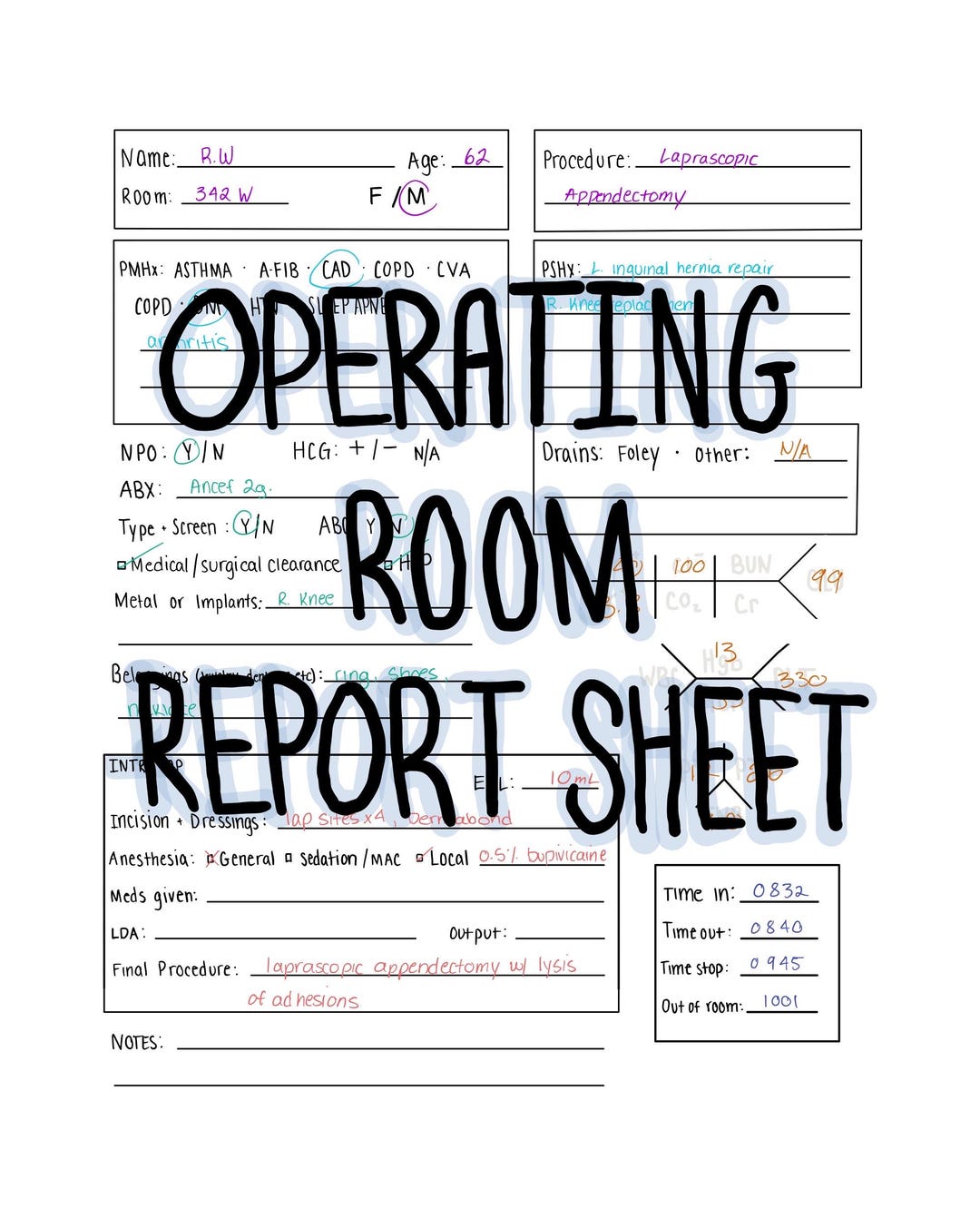 Or Report OR Report Sheet Template - Etsy