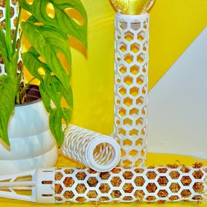 Pode incluir: Postes brancos de suporte para plantas com design de favo de mel, preenchidos com musgo castanho, são exibidos sobre um fundo amarelo. À esquerda, uma planta em vaso com folhas verdes é visível. Os postes são projetados para suportar plantas trepadeiras.