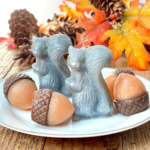 Squirrel and Acorn soaps, Mother's day cute present, best friend gift, Woodsy outdoor girl present, Woodland creatures, vanilla scented