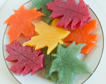 May include: A collection of wax melts shaped like autumn leaves in shades of red, orange, yellow, and green, arranged on a white plate with a thin gold rim. The leaves feature detailed vein textures and a smooth, slightly glossy finish.