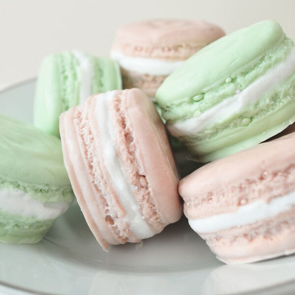 Handmade Soaps - French Macaron - 2 macaroons - food soap - pastel chocolate and mint green