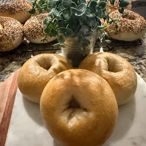 May include: Three golden-brown plain bagels arranged in the foreground on a white marble board, with several seeded bagels on a black wire cooling rack behind them, and a small potted green plant centered between the two groups of baked goods.
