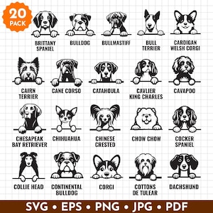May include: A collection of 20 dog breed illustrations in black and white. Breeds include Brittany Spaniel, Bulldog, Bullmastiff, Bull Terrier, Cardigan Welsh Corgi, and more. The image includes the text "20 PACK" and file type options.