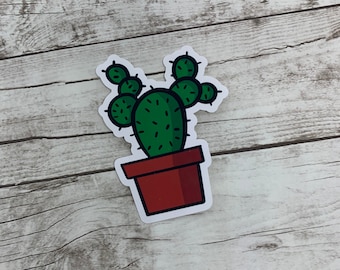 Cactus Vinyl Sticker