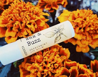 Baume à lèvres naturel à la menthe poivrée - Baume à lèvres à la cire d'abeille et à l'huile de coco, baume à lèvres hydratant à la menthe, soin des lèvres naturel fait main (5,5 ml)
