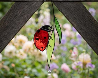 May include: A stained glass suncatcher featuring a bright red ladybug with black spots perched on two light green leaves. The piece is suspended from a black metal hook and includes a small clear crystal drop hanging from the bottom leaf tip.