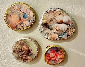 Decoupage Muschel Birkenholz Magnete - Küsten Decor, 4er Set