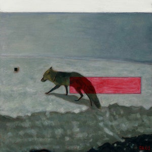 The European Red Fox