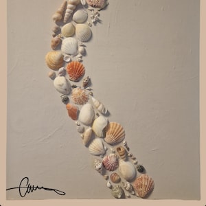 Peut inclure: Une œuvre d'art décorative avec une variété de coquillages, tels que des coquilles Saint-Jacques et des conques, disposés en courbe sur un fond texturé gris clair. Les coquillages sont orange, blancs et beiges. Un petit groupe de coquillages est en haut à droite.