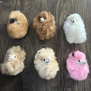 以下が含まれることがあります： さまざまな色のふわふわしたアルパカのキーホルダーが6つ。各キーホルダーには、黒い目と笑顔の口が付いた、小さく詳細なアルパカの顔が付いています。キーホルダーは柔らかいぬいぐるみ素材で作られています。