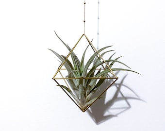 Large Cube Air Plant Hanger. Brass Himmeli Geometric Air Plant Mobile. Air plant holder. Hanging Plant. Air Plant Hanger. Housewarming Gift.