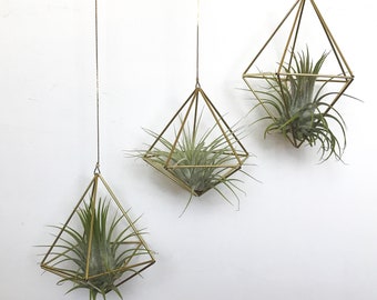 Brass Himmeli Geometric Mobile.  Air Plant Hanger.  Air plant Holder. airplant hanger. Housewarming Gift. Modern Decor.  Gift under 25.