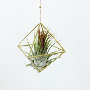 Modern Brass Himmeli Geometric Air Plant Mobile. Air plant holder. Hanging Plant. Air Plant Hanger. Housewarming Gift. Birthday Gift. image 4