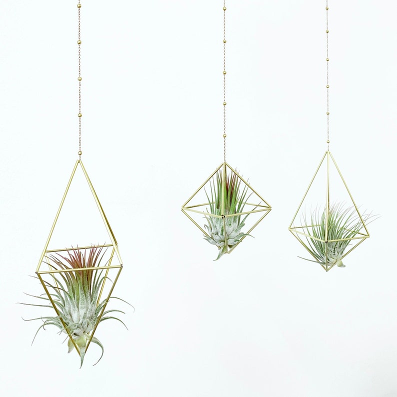 Modern Brass Himmeli Geometric Air Plant Mobile. Air plant holder. Hanging Plant. Air Plant Hanger. Housewarming Gift. Birthday Gift. image 1