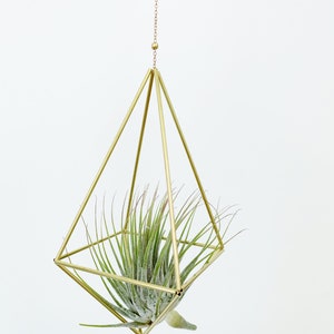 Modern Brass Himmeli Geometric Air Plant Mobile. Air plant holder. Hanging Plant. Air Plant Hanger. Housewarming Gift. Birthday Gift. image 5