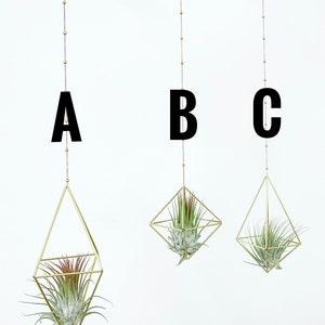 Modern Brass Himmeli Geometric Air Plant Mobile. Air plant holder. Hanging Plant. Air Plant Hanger. Housewarming Gift. Birthday Gift. image 2