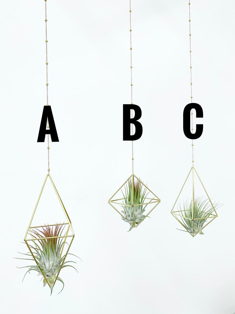 Modern Brass Himmeli Geometric Air Plant Mobile. Air plant holder. Hanging Plant. Air Plant Hanger. Housewarming Gift. Birthday Gift. image 2