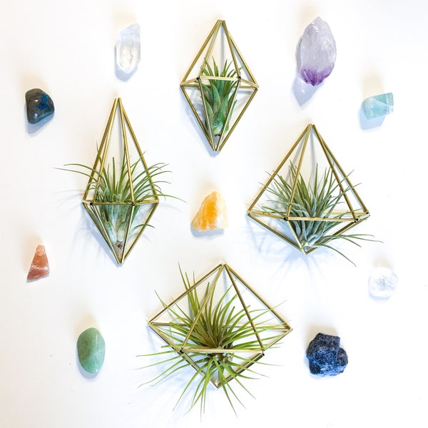 Himmeli Air Plant Holder: Brass Geometric Wall Sconce