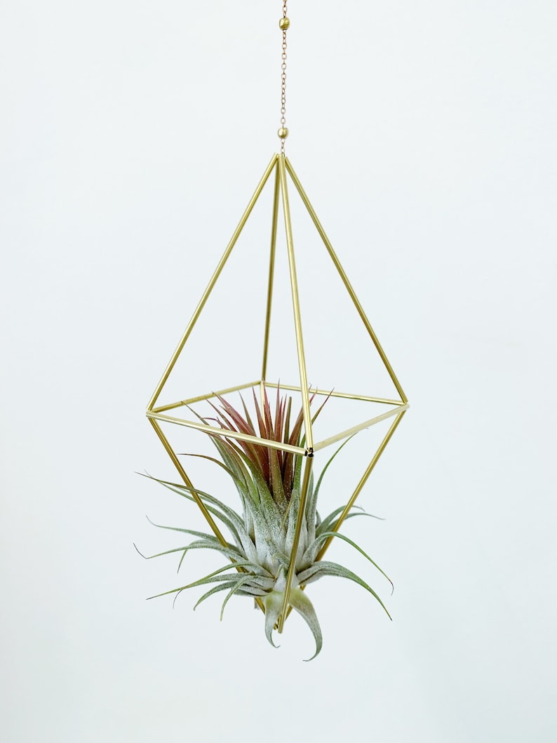 Modern Brass Himmeli Geometric Air Plant Mobile. Air plant holder. Hanging Plant. Air Plant Hanger. Housewarming Gift. Birthday Gift. image 3