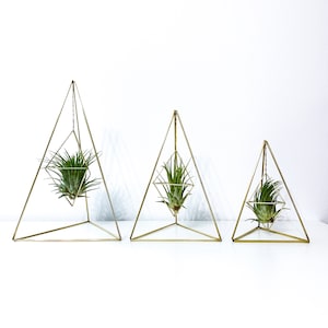 Brass Air Plant Pyramid: Geometric Tabletop Holder with Live Plant